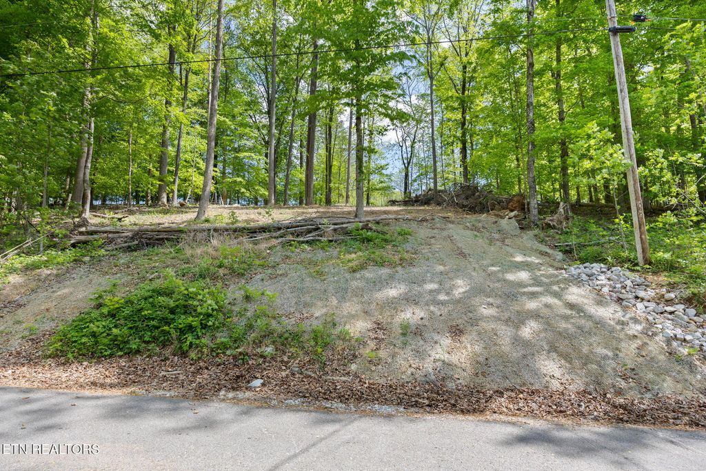 Photo of Hagaman Rd, Andersonville, TN 37705 (MLS # 1308257)