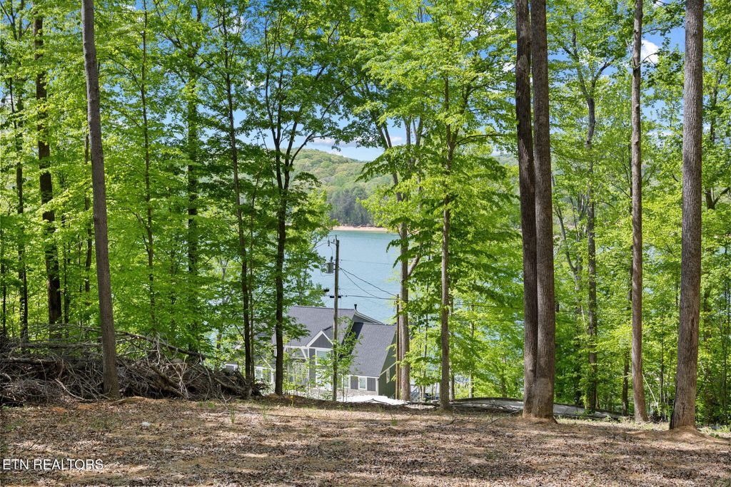 Photo of Hagaman Rd, Andersonville, TN 37705 (MLS # 1308257)