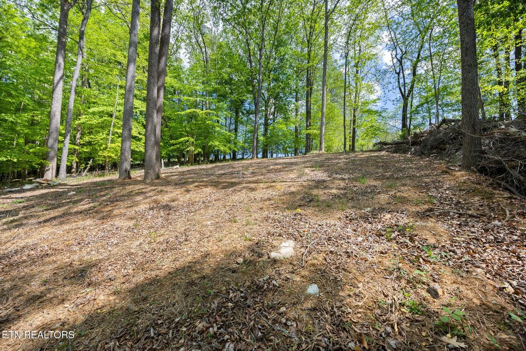 Photo of Hagaman Rd, Andersonville, TN 37705 (MLS # 1308257)