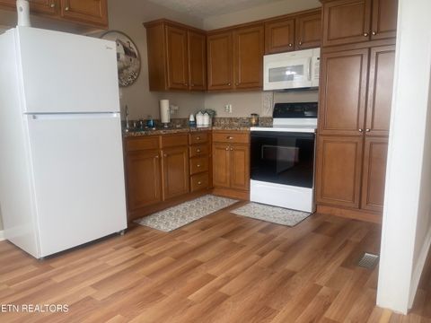 Tiny photo for 295 Forge Ridge Rd, Harrogate, TN 37752 (MLS # 1340544)