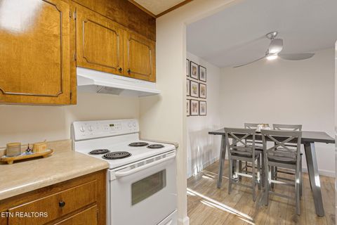 Tiny photo for 3104 N Broadway St #A-5, Knoxville, TN 37917 (MLS # 1334169)