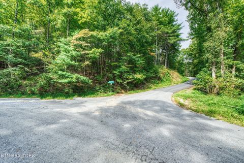 Tiny photo for Stepping Stone Drive, Sevierville, TN 37862 (MLS # 1328854)