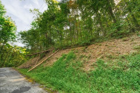 Tiny photo for Stepping Stone Drive, Sevierville, TN 37862 (MLS # 1328854)