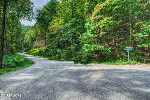 Tiny photo for Stepping Stone Drive, Sevierville, TN 37862 (MLS # 1328854)