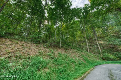Tiny photo for Stepping Stone Drive, Sevierville, TN 37862 (MLS # 1328854)
