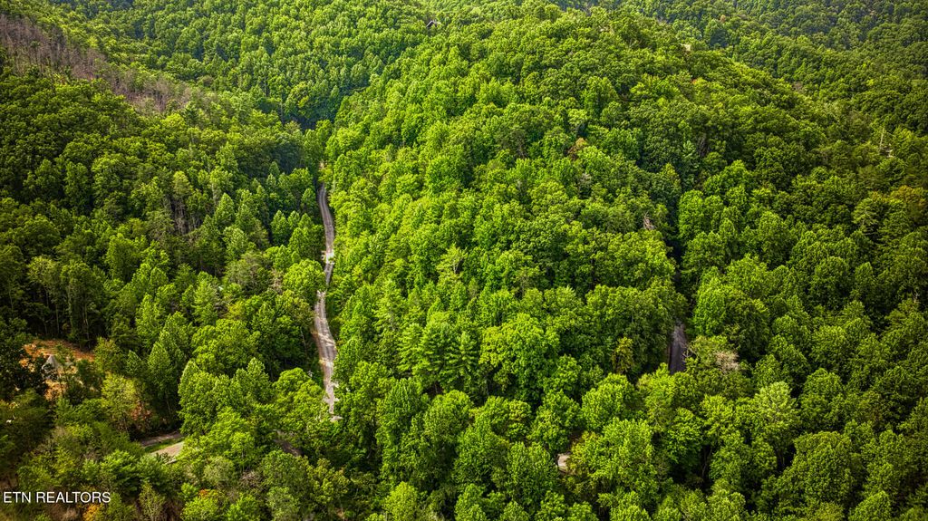 Photo of Stepping Stone Drive, Sevierville, TN 37862 (MLS # 1328854)