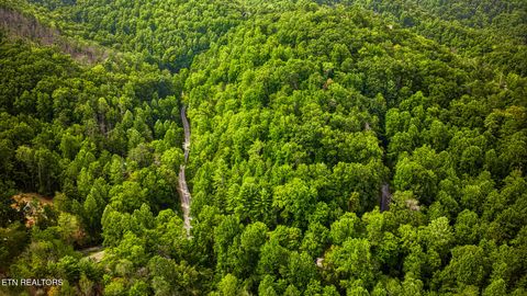 Tiny photo for Stepping Stone Drive, Sevierville, TN 37862 (MLS # 1328854)