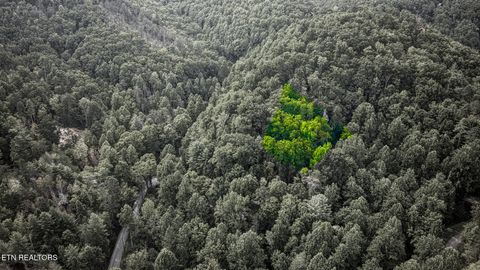 Tiny photo for Stepping Stone Drive, Sevierville, TN 37862 (MLS # 1328854)