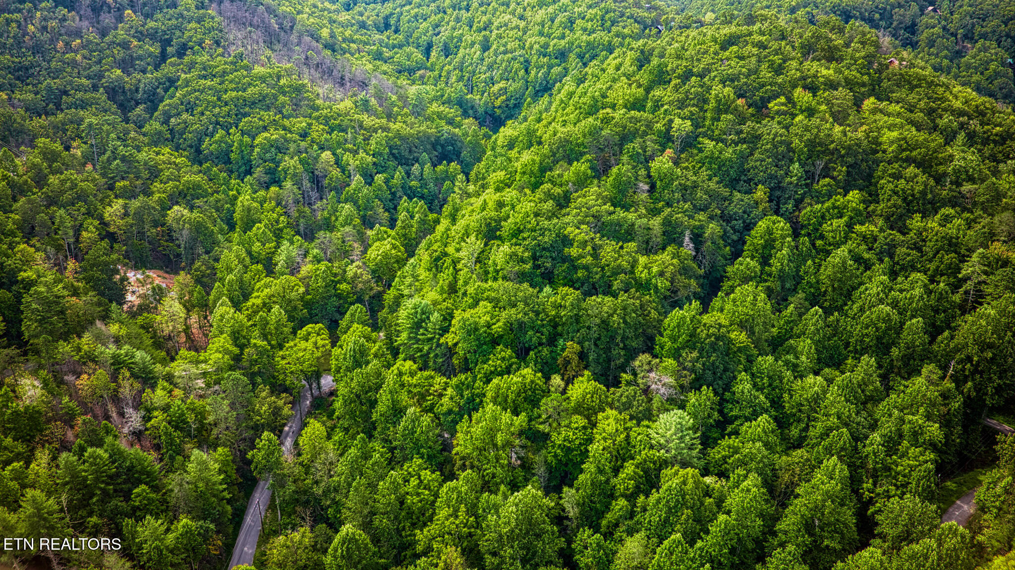 Stepping Stone Drive