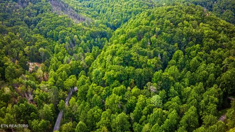 Tiny photo for Stepping Stone Drive, Sevierville, TN 37862 (MLS # 1328854)