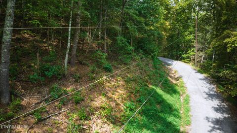Tiny photo for Stepping Stone Drive, Sevierville, TN 37862 (MLS # 1328854)