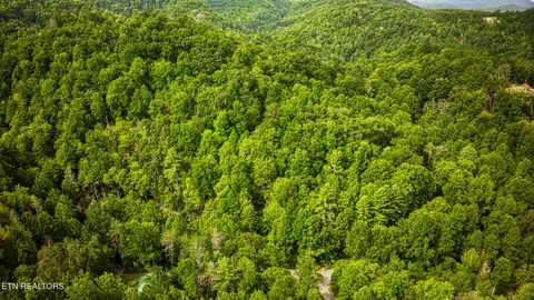 Tiny photo for Stepping Stone Drive, Sevierville, TN 37862 (MLS # 1328854)