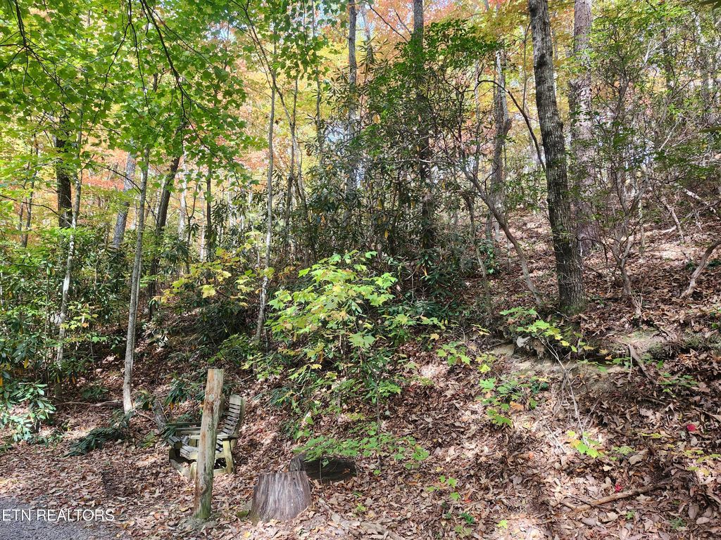 Photo of 11 Bluff Mtn. Rd., Sevierville, TN 37876 (MLS # 1319833)