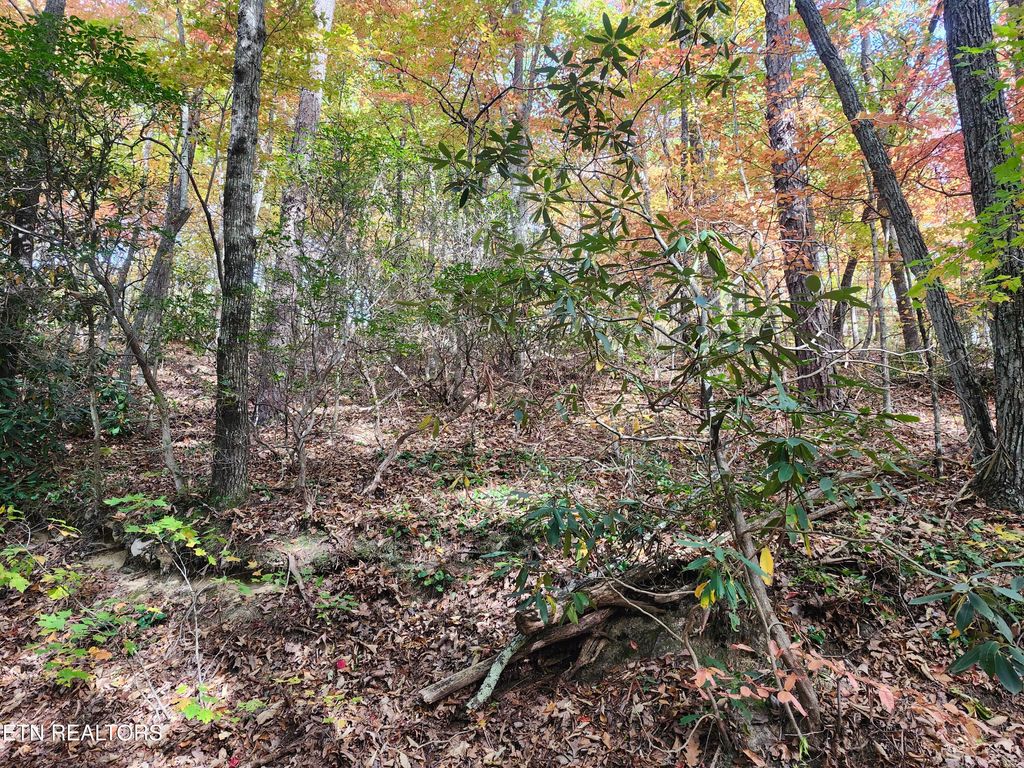 Photo of 11 Bluff Mtn. Rd., Sevierville, TN 37876 (MLS # 1319833)