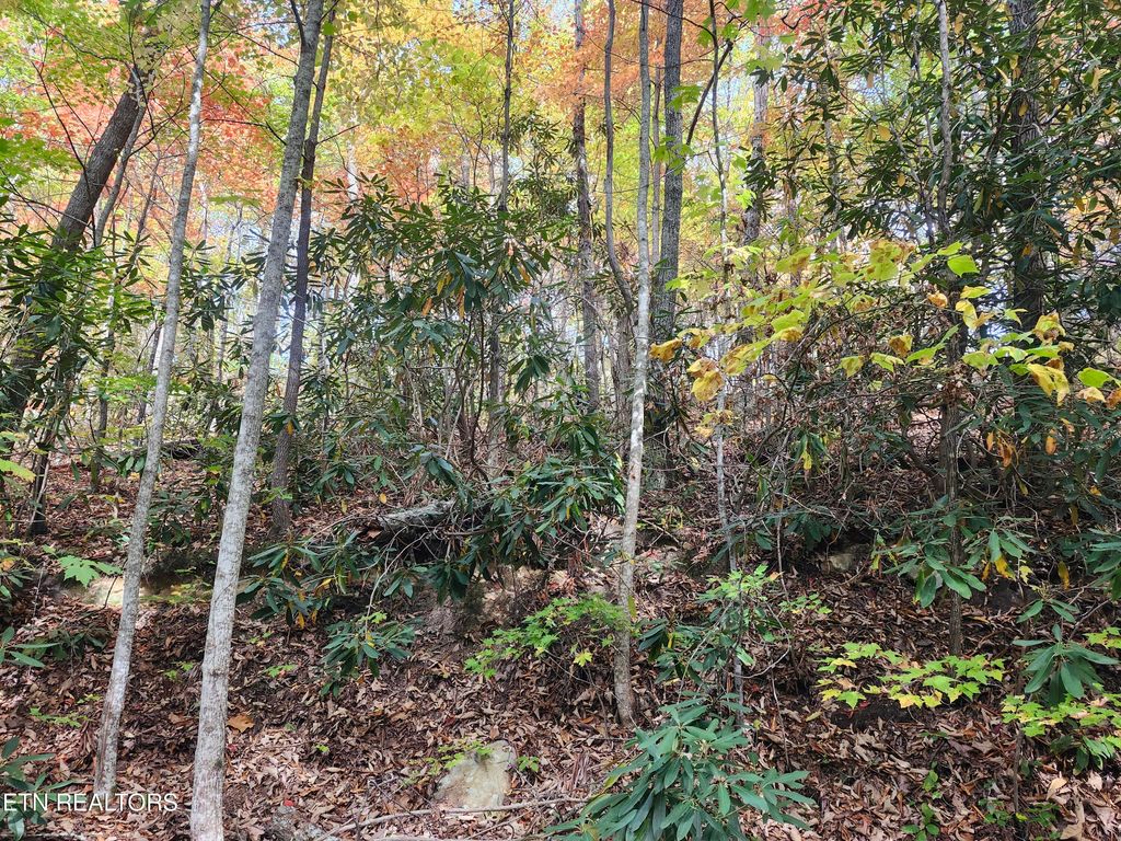 Photo of 11 Bluff Mtn. Rd., Sevierville, TN 37876 (MLS # 1319833)