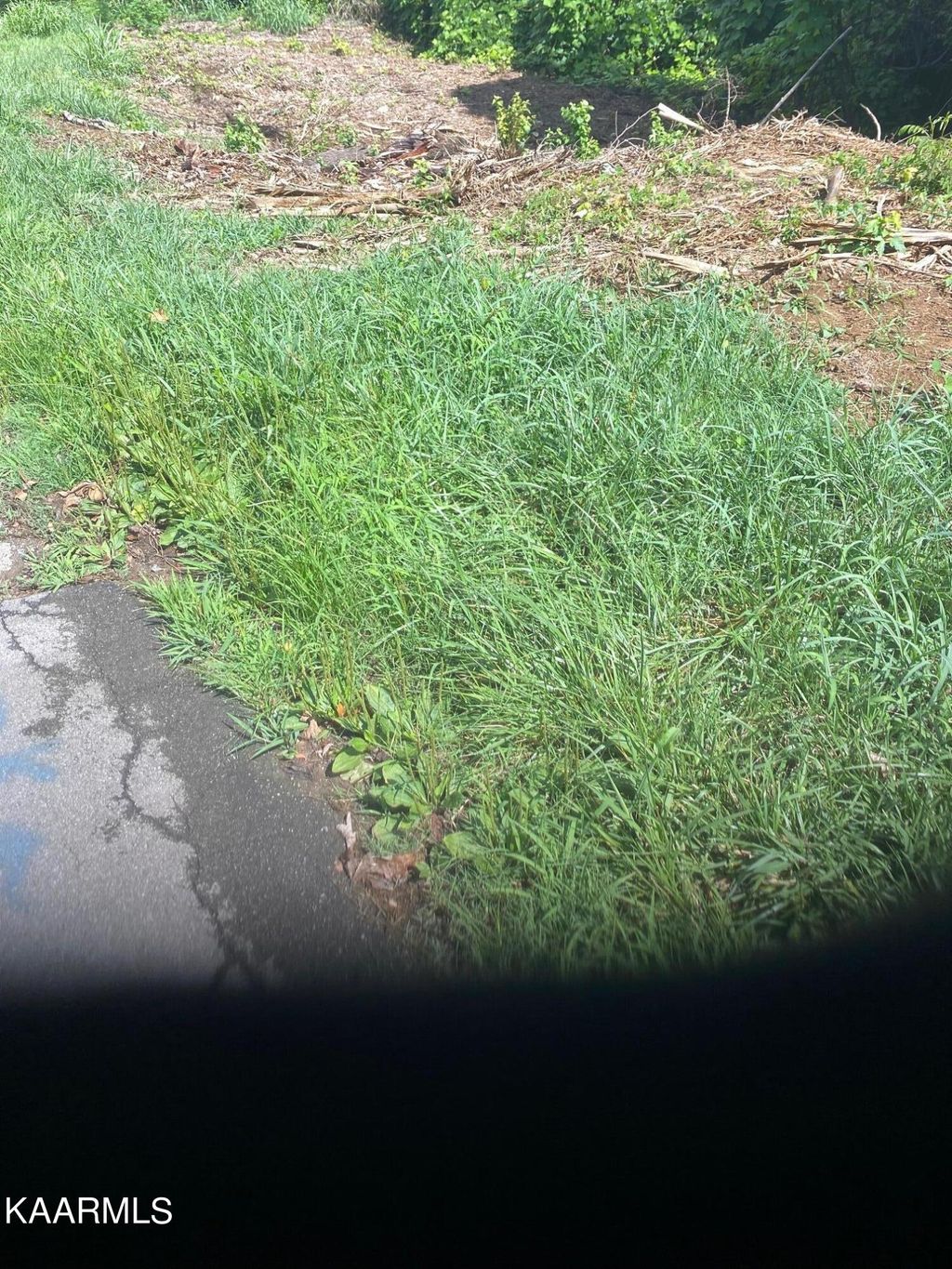 Photo of 3107 Snapp Rd, Louisville, TN 37777 (MLS # 1200589)