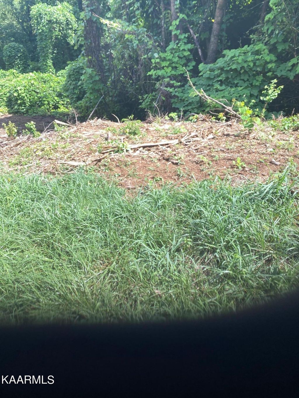 Photo of 3107 Snapp Rd, Louisville, TN 37777 (MLS # 1200589)