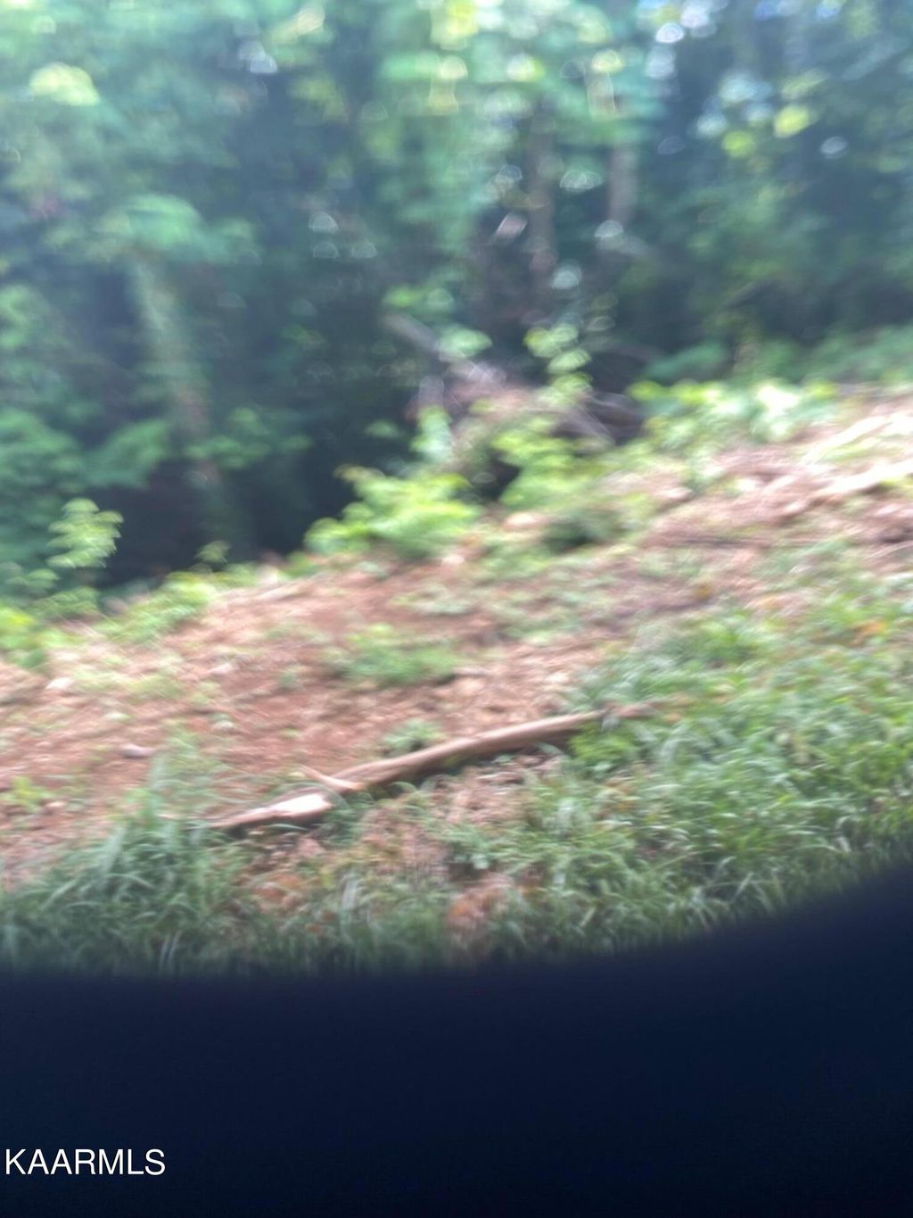 Photo of 3107 Snapp Rd, Louisville, TN 37777 (MLS # 1200589)