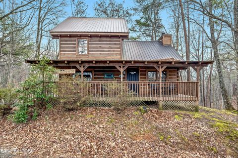 1141 Ski View Lane Sevierville TN 37876