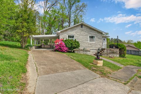 Photo of 119 E Magnolia Lane, Oak Ridge, TN 37830 (MLS # 1335749)