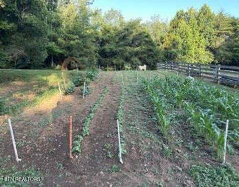 Tiny photo for 323 Beech Hollow Rd, Harrogate, TN 37752 (MLS # 1326063)