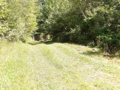 Tiny photo for 323 Beech Hollow Rd, Harrogate, TN 37752 (MLS # 1326063)