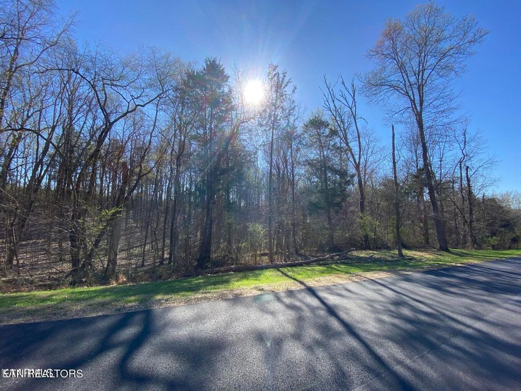 Photo of Eagle Ridge Drive, Rockwood, TN 37854 (MLS # 1257796)