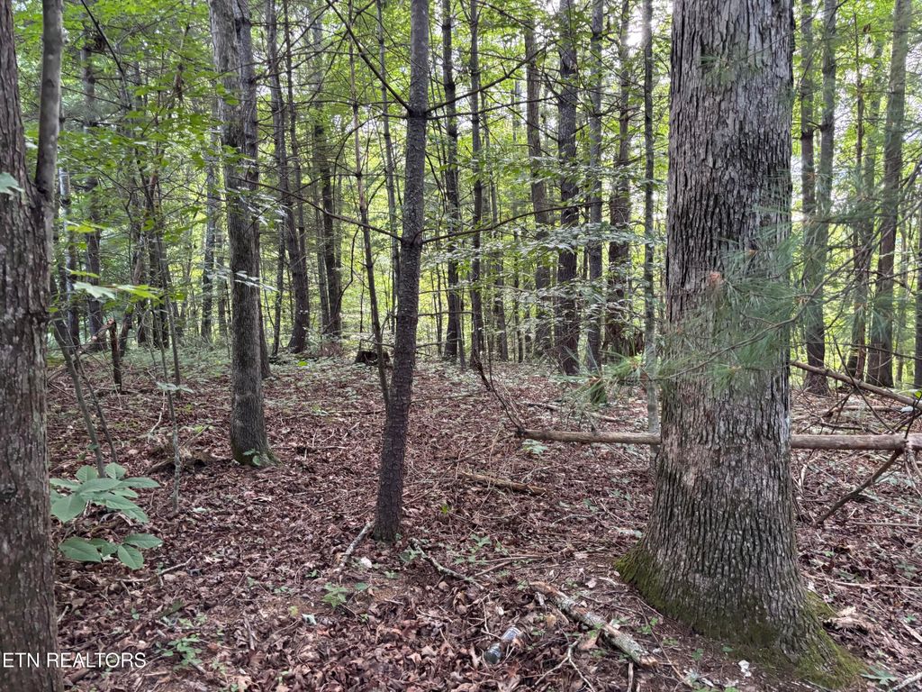 Photo of Eagle Ridge PVT Rd, Huntsville, TN 37756 (MLS # 1311638)