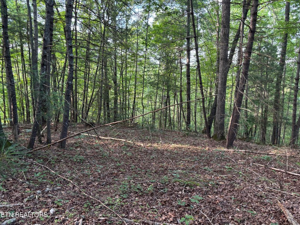 Photo of Eagle Ridge PVT Rd, Huntsville, TN 37756 (MLS # 1311638)