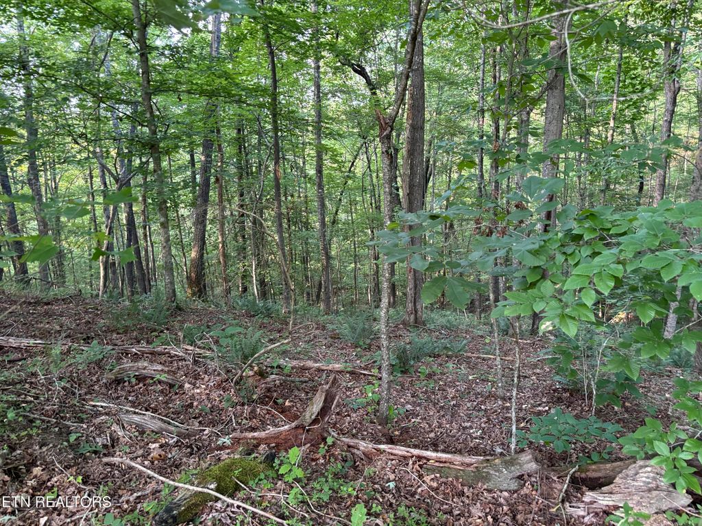 Photo of Eagle Ridge PVT Rd, Huntsville, TN 37756 (MLS # 1311638)