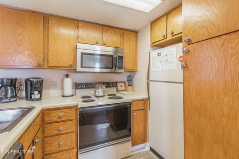 Tiny photo for 3710 Weber Rd #C203, Gatlinburg, TN 37738 (MLS # 1342082)