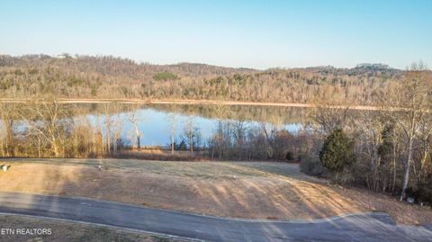 Tiny photo for 993 River Bank Tr, Loudon, TN 37774 (MLS # 1327448)