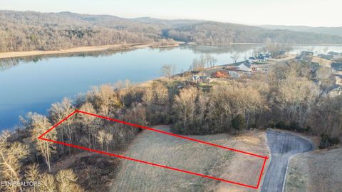 Tiny photo for 993 River Bank Tr, Loudon, TN 37774 (MLS # 1327448)