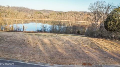Tiny photo for 993 River Bank Tr, Loudon, TN 37774 (MLS # 1327448)