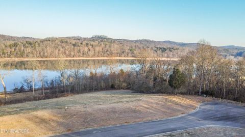 Tiny photo for 993 River Bank Tr, Loudon, TN 37774 (MLS # 1327448)
