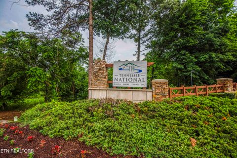 Photo of 993 River Bank Tr, Loudon, TN 37774 (MLS # 1327448)