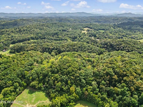 Tiny photo for 2073 Oven Creek Rd, Parrottsville, TN 37843 (MLS # 1355619)