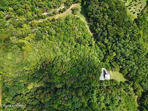 Tiny photo for 2073 Oven Creek Rd, Parrottsville, TN 37843 (MLS # 1355619)