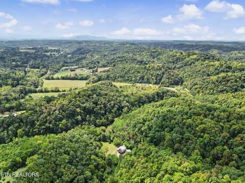 Tiny photo for 2073 Oven Creek Rd, Parrottsville, TN 37843 (MLS # 1355619)
