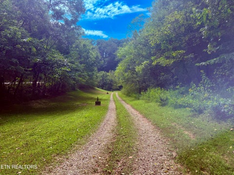 Tiny photo for 2073 Oven Creek Rd, Parrottsville, TN 37843 (MLS # 1355619)