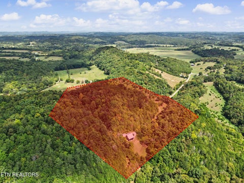 Tiny photo for 2073 Oven Creek Rd, Parrottsville, TN 37843 (MLS # 1355619)
