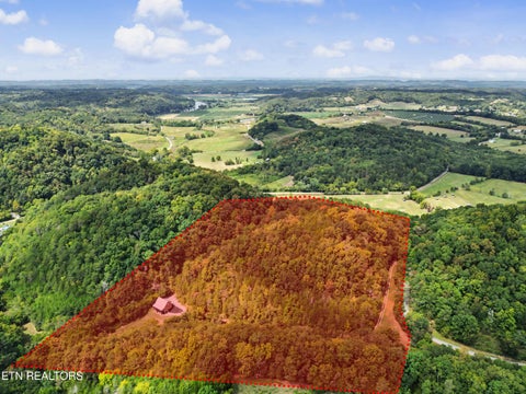 Tiny photo for 2073 Oven Creek Rd, Parrottsville, TN 37843 (MLS # 1355619)