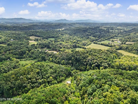 Tiny photo for 2073 Oven Creek Rd, Parrottsville, TN 37843 (MLS # 1355619)