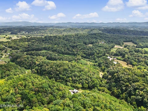 Tiny photo for 2073 Oven Creek Rd, Parrottsville, TN 37843 (MLS # 1355619)