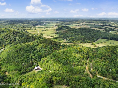 Tiny photo for 2073 Oven Creek Rd, Parrottsville, TN 37843 (MLS # 1355619)