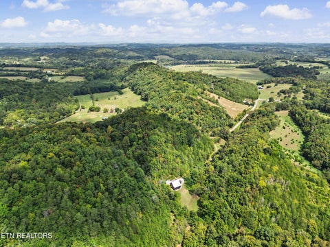 Tiny photo for 2073 Oven Creek Rd, Parrottsville, TN 37843 (MLS # 1355619)