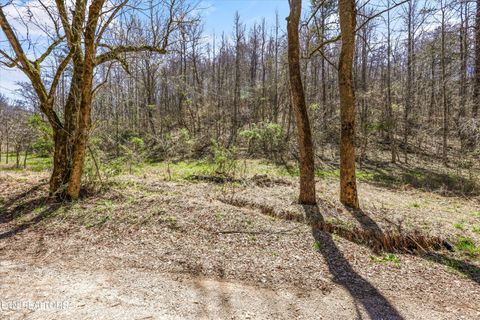 Tiny photo for 515 Robinson Rd, New Tazewell, TN 37825 (MLS # 1334595)
