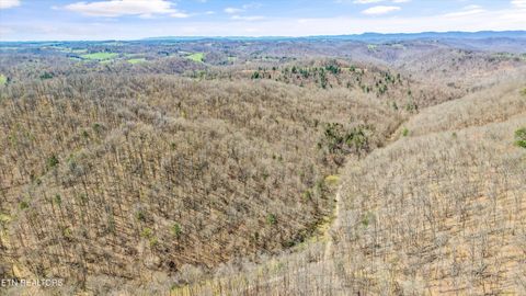Tiny photo for 515 Robinson Rd, New Tazewell, TN 37825 (MLS # 1334595)