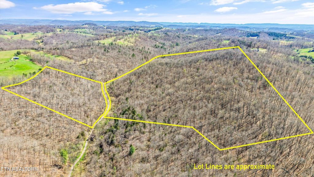 Photo of 515 Robinson Rd, New Tazewell, TN 37825 (MLS # 1334595)