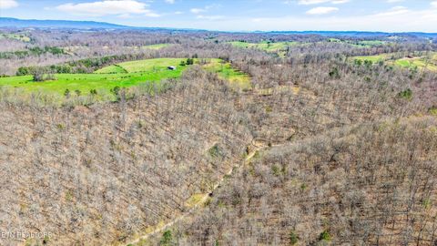Tiny photo for 515 Robinson Rd, New Tazewell, TN 37825 (MLS # 1334595)